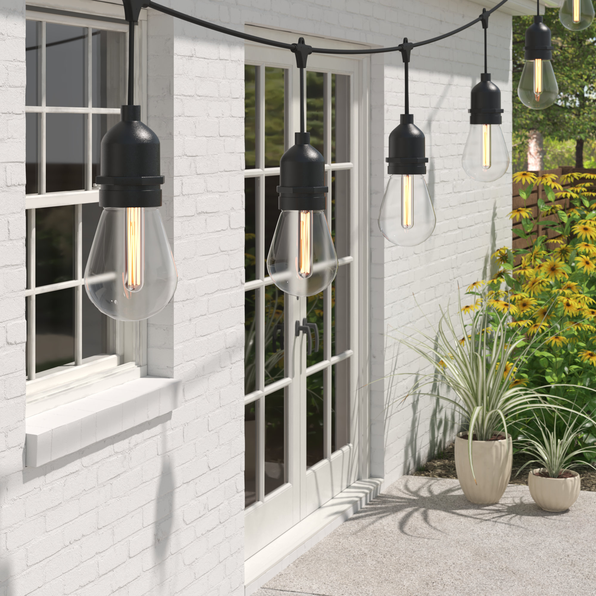 Burroughs 48 Outdoor 15 Bulb Standard String Light Wayfair Basics Cord Color Black